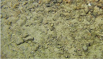 ООО «Газпром сера» выплатило почти 12,5 млн рублей за ущерб р. Бузан